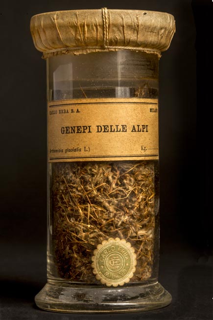 GENEPI DELLE ALPI